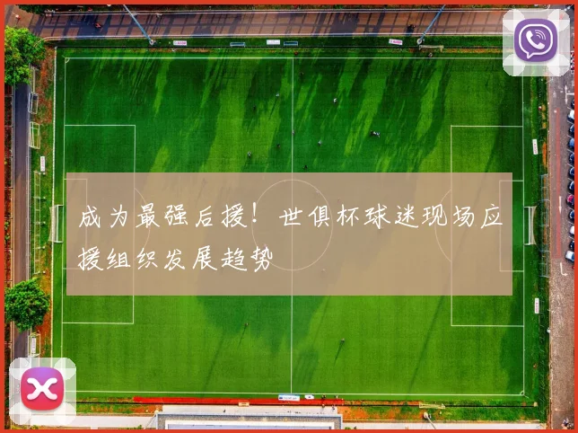 成为最强后援！世俱杯球迷现场应援组织发展趋势