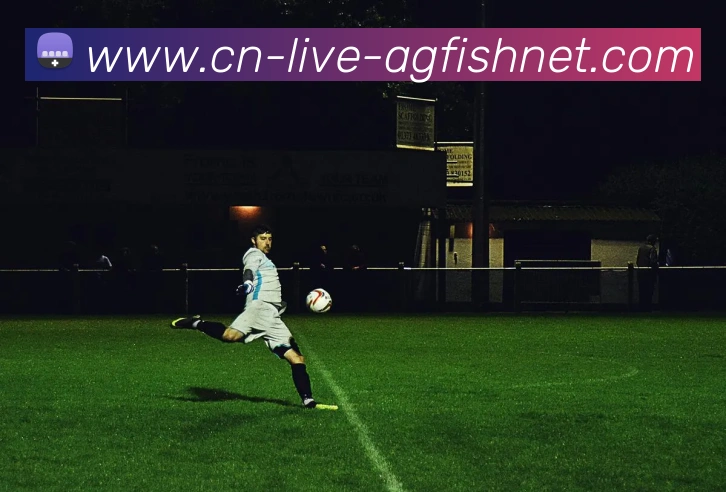 AG捕鱼王官网发展历程