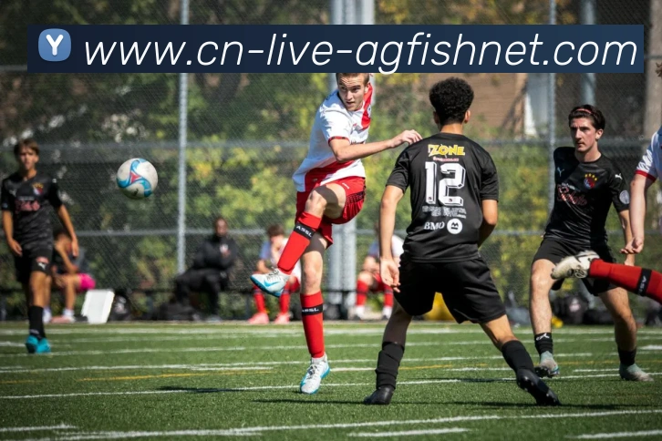 足球四号球CBA：CBA与足球的“四号球”设计与规则差异